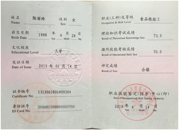 团队证书